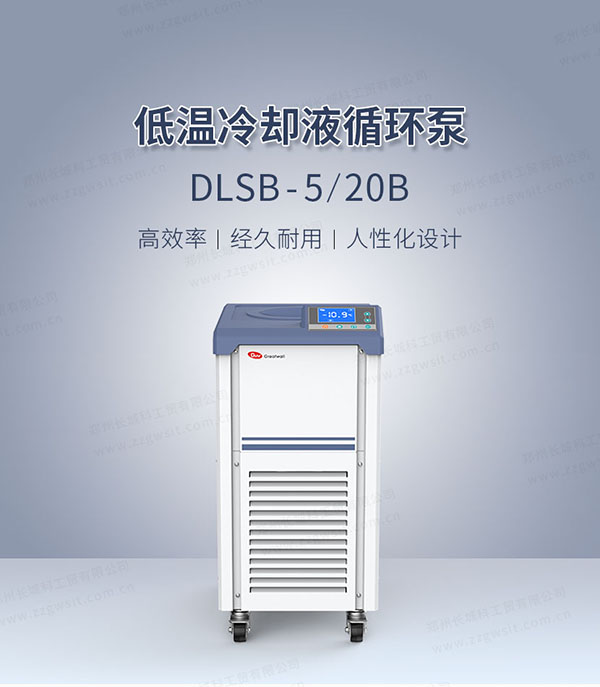 實驗室用低溫冷卻液循環(huán)泵