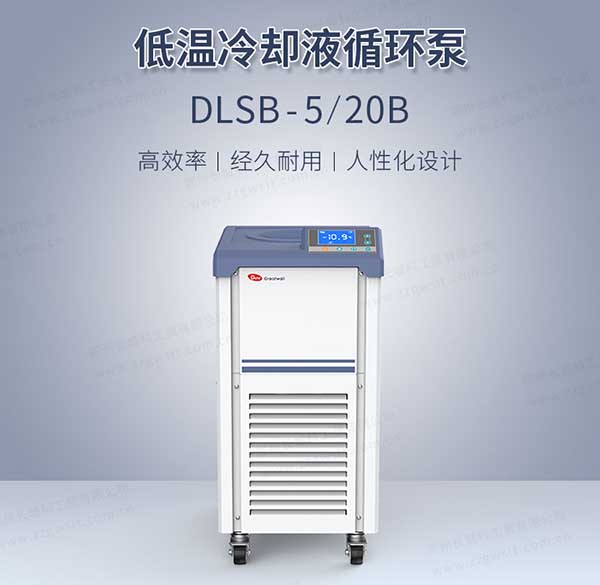 DLSB系列型低溫冷卻液循環(huán)泵