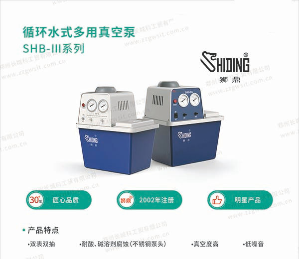 循環(huán)水真空泵